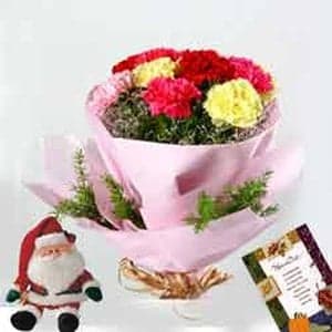 Carnations with Santa